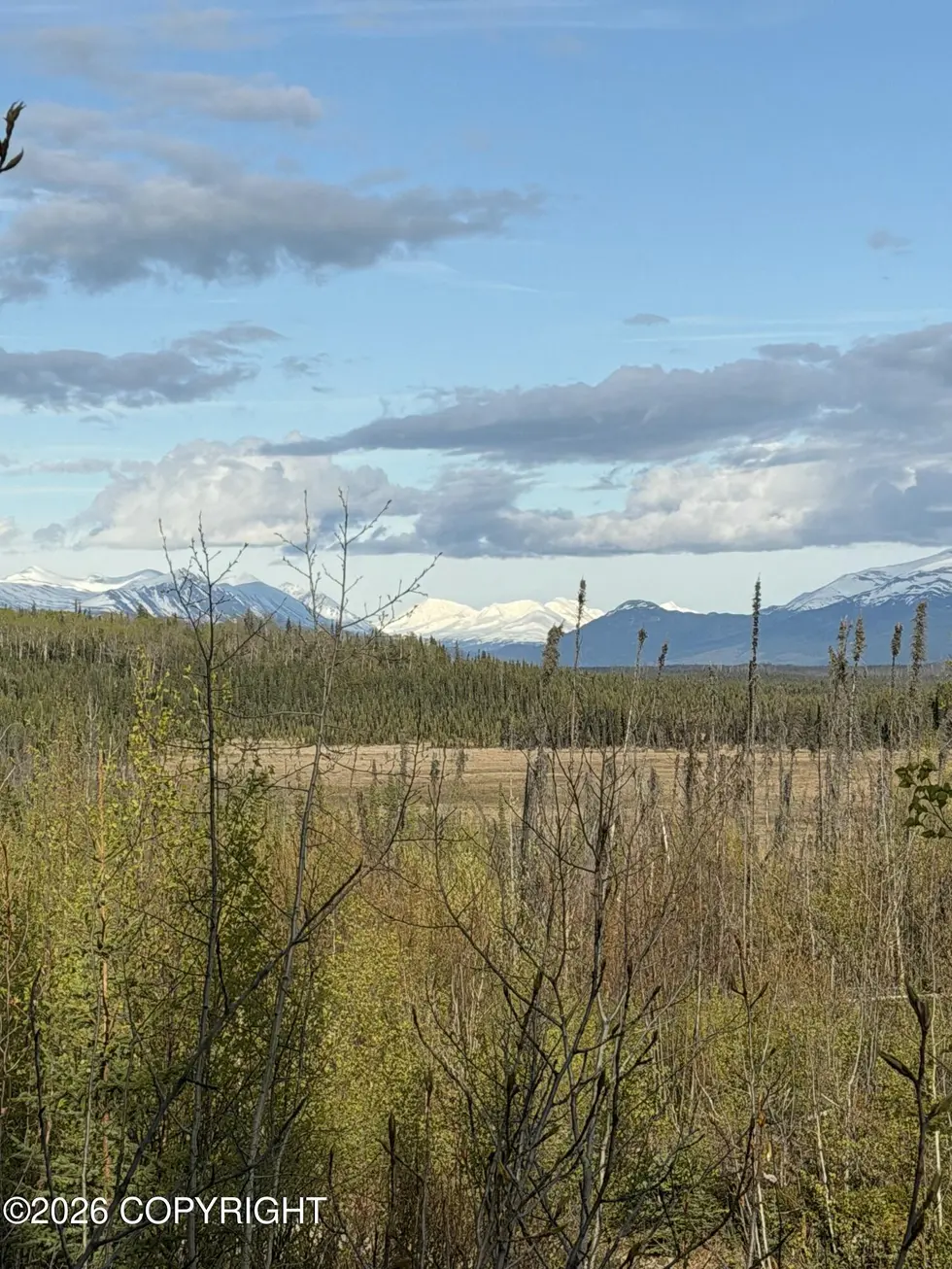 Lake Road 5-Acre Parcel